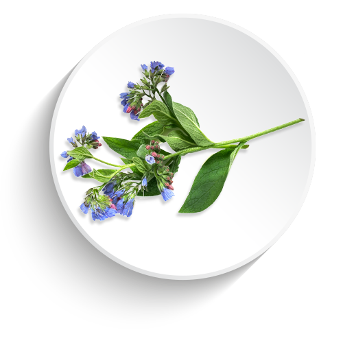 Allantoin
