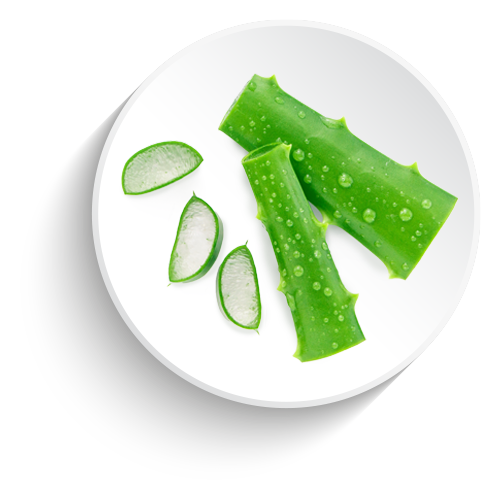 Aloe